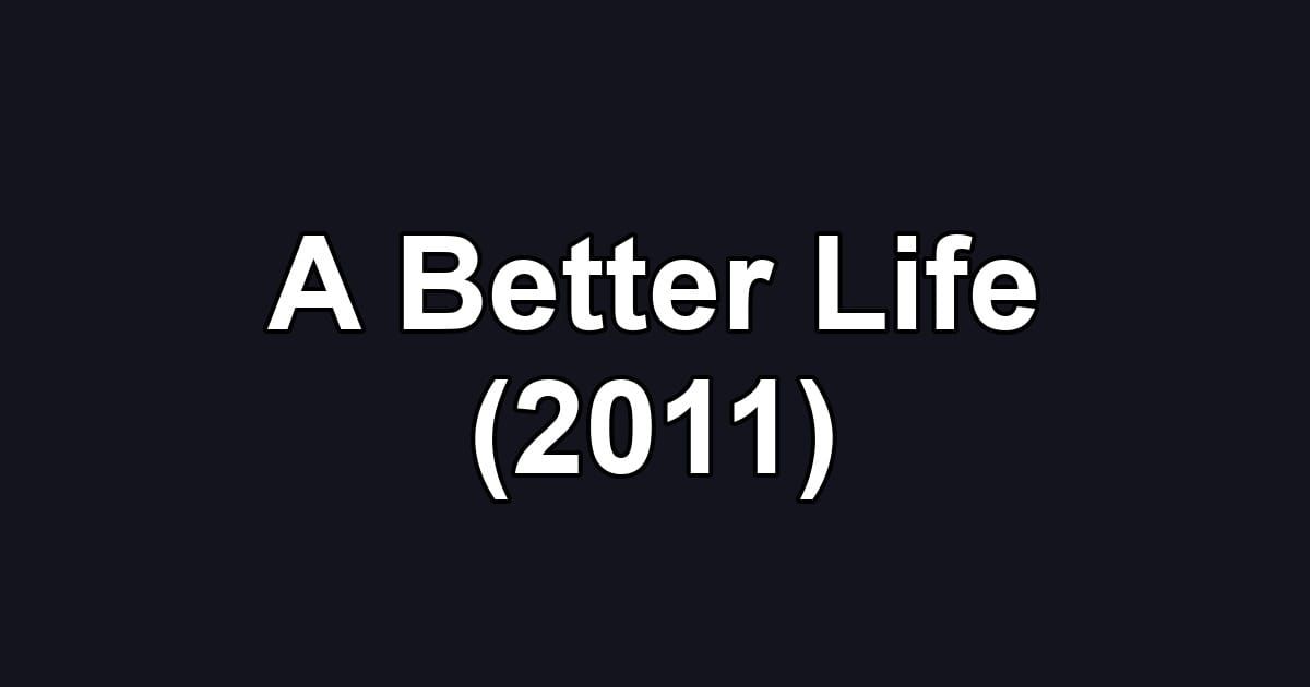 A Better Life (2011)