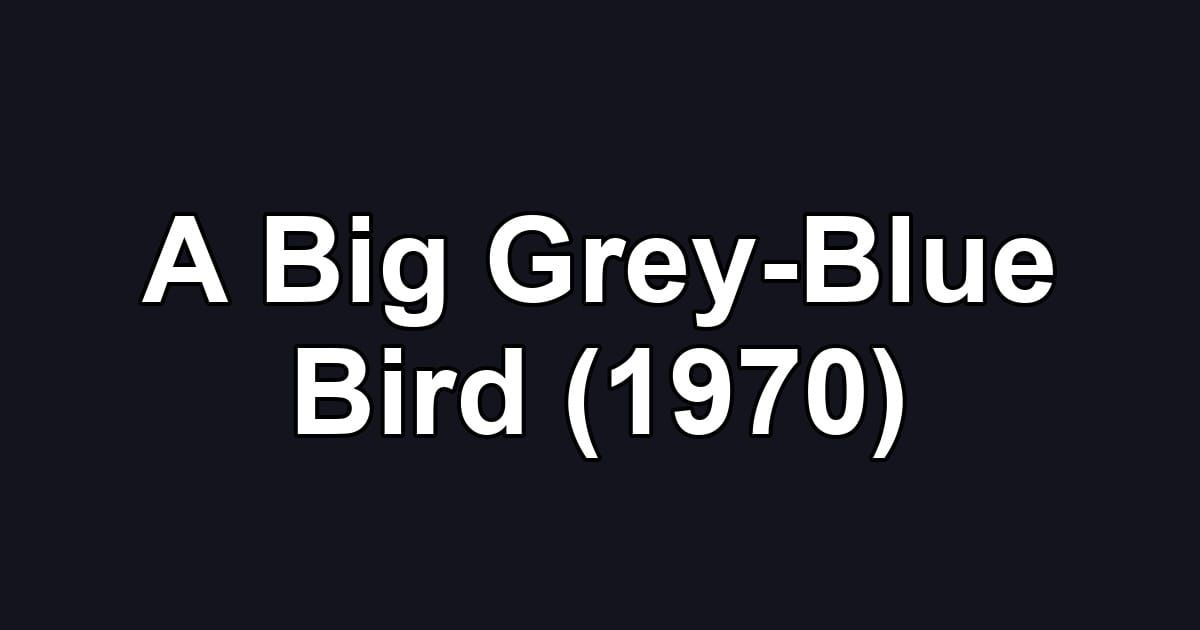 A Big Grey-Blue Bird (1970)
