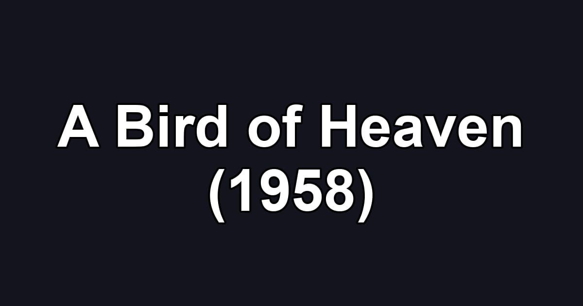 A Bird of Heaven (1958)