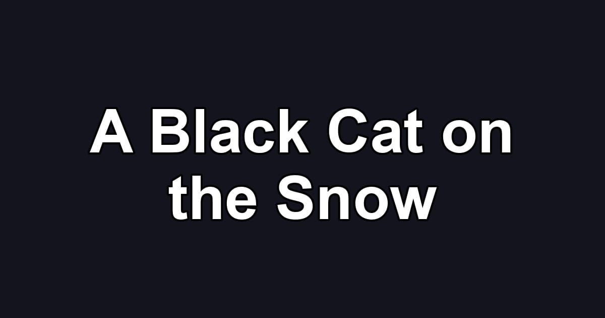 A Black Cat on the Snow