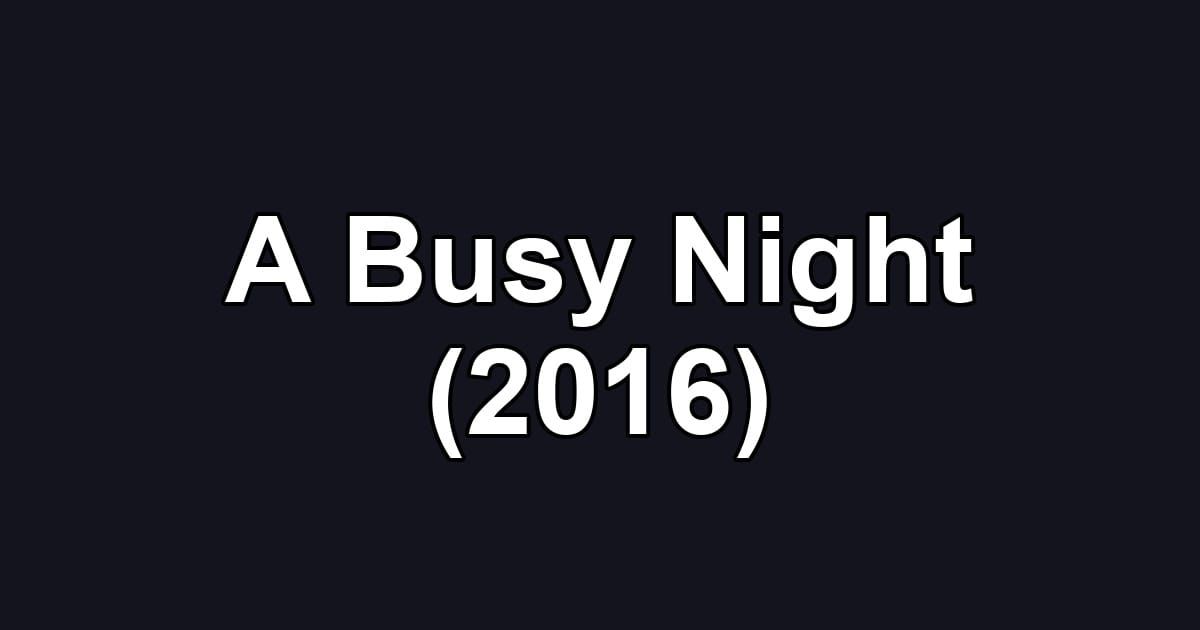 A Busy Night (2016)