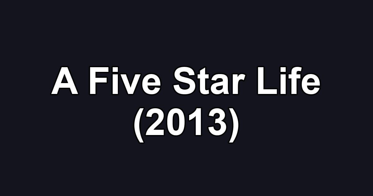 A Five Star Life (2013)