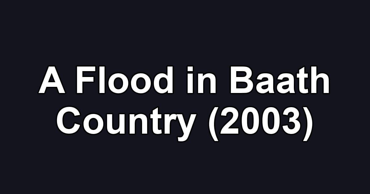 A Flood in Baath Country (2003)