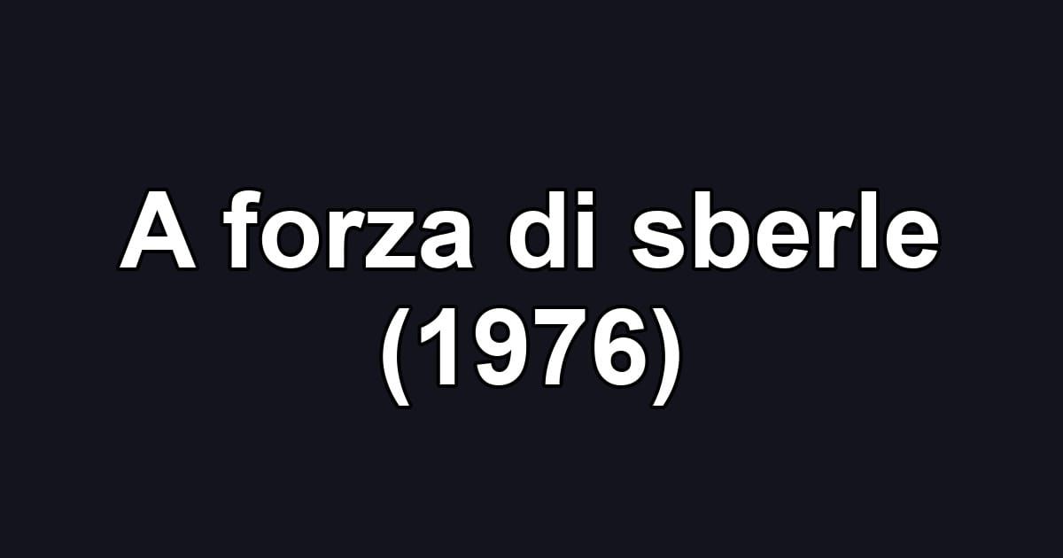 A forza di sberle (1976)