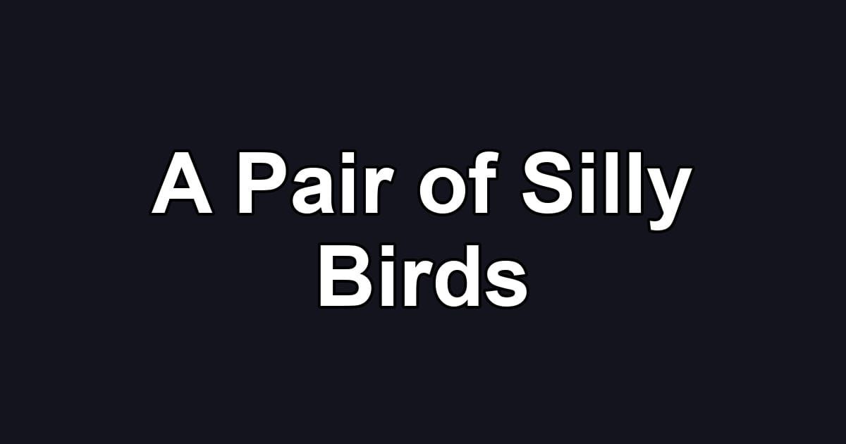 A Pair of Silly Birds