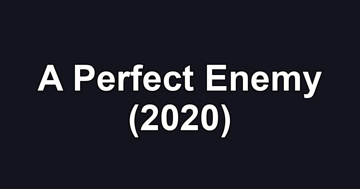 A Perfect Enemy (2020)