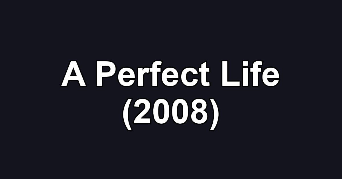 A Perfect Life (2008)