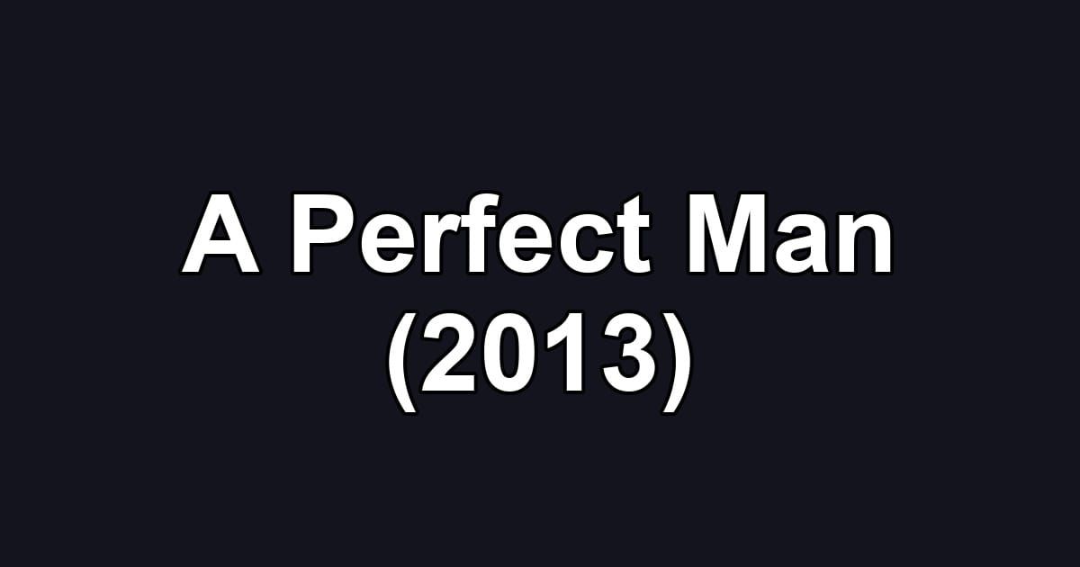 A Perfect Man (2013)