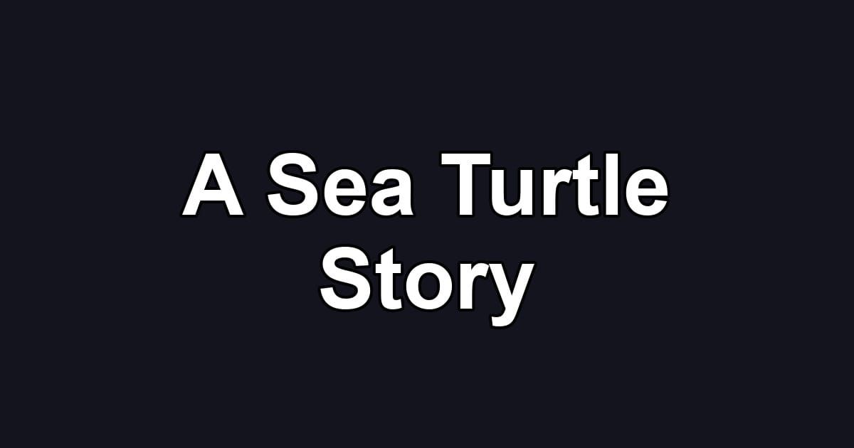 A Sea Turtle Story