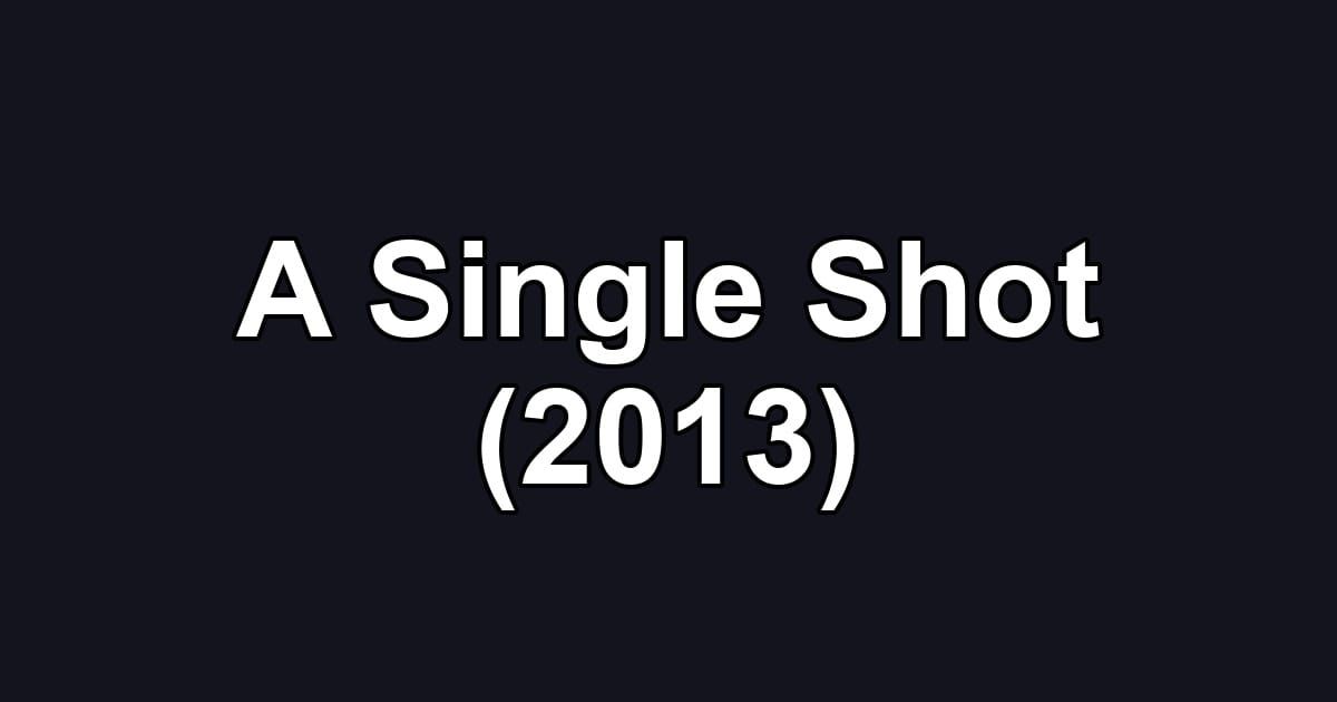 A Single Shot (2013)