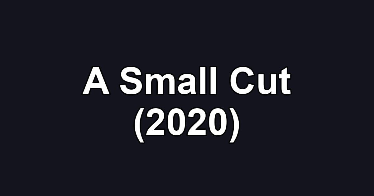 A Small Cut (2020)