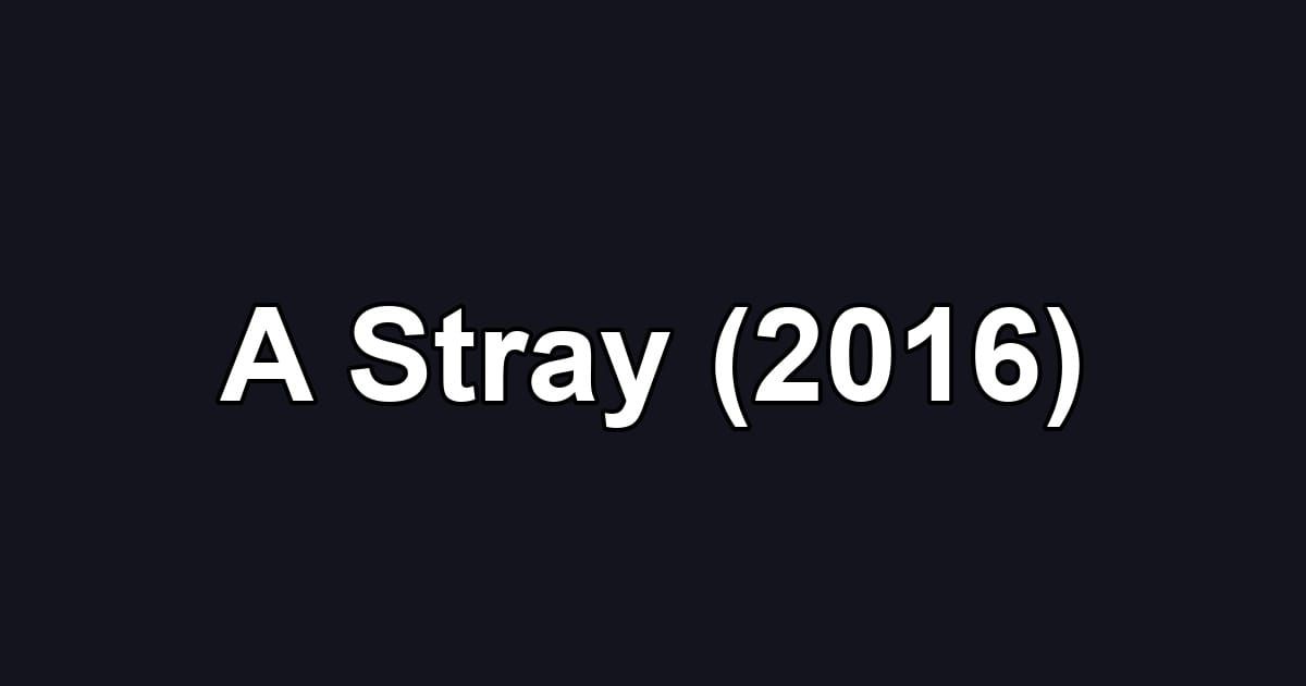 A Stray (2016)