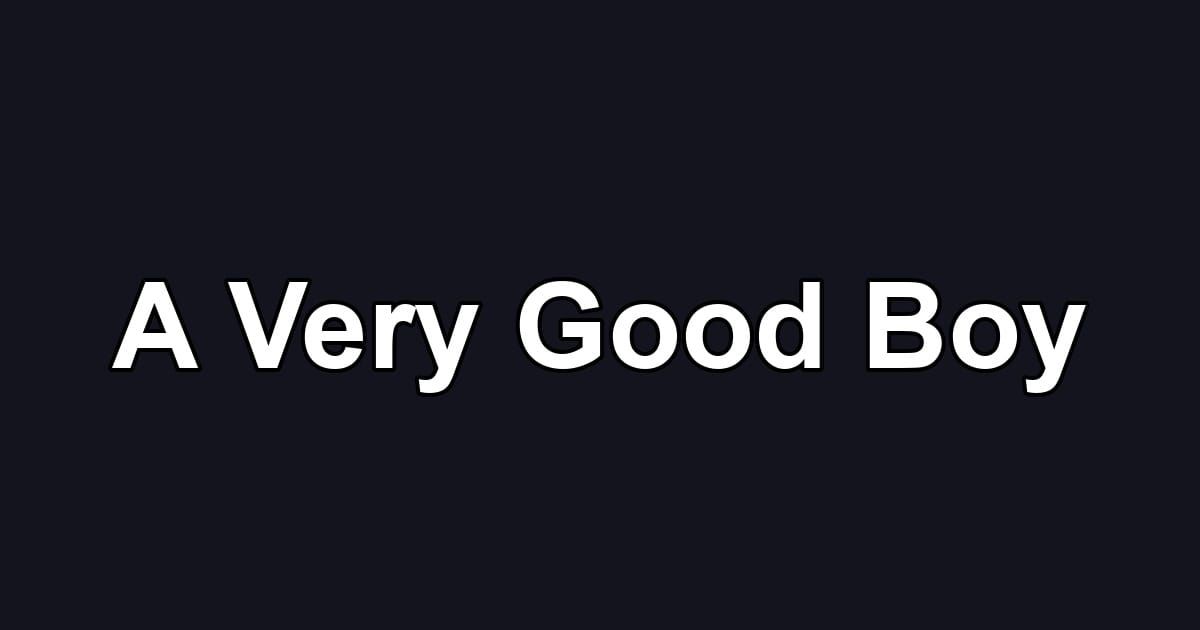 A Very Good Boy