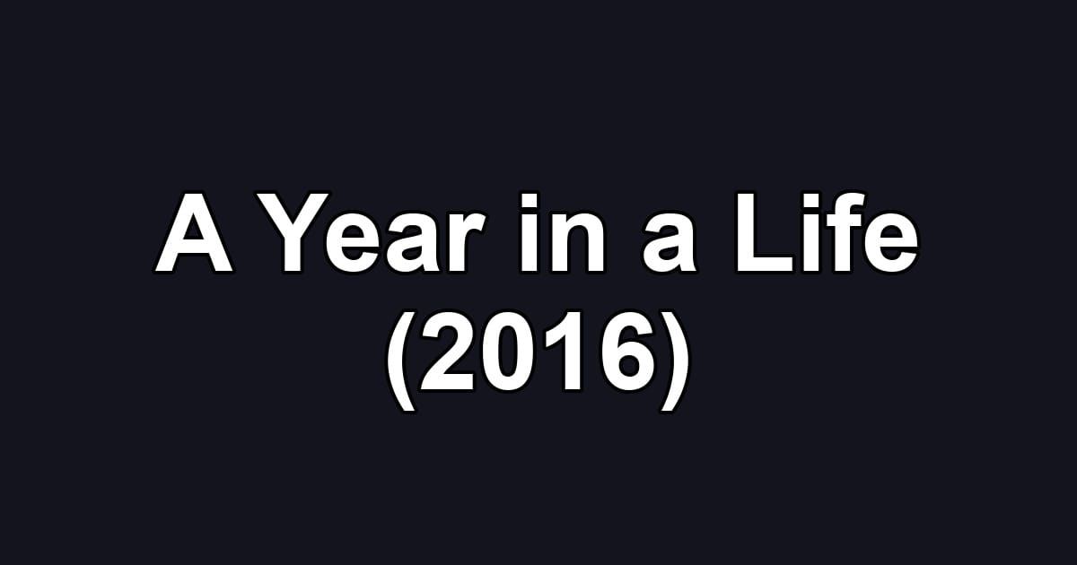A Year in a Life (2016)