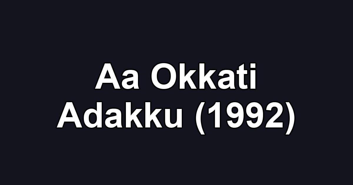 Aa Okkati Adakku (1992)