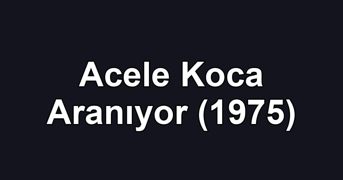 Acele Koca Aranıyor (1975)