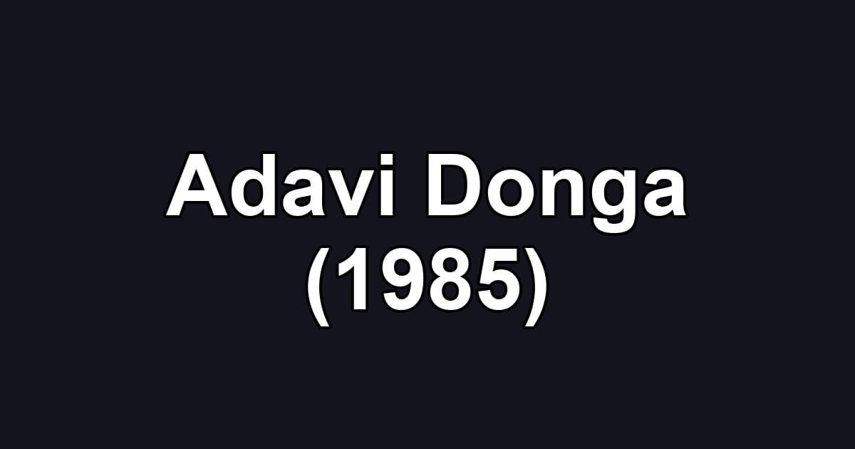 Adavi Donga (1985)