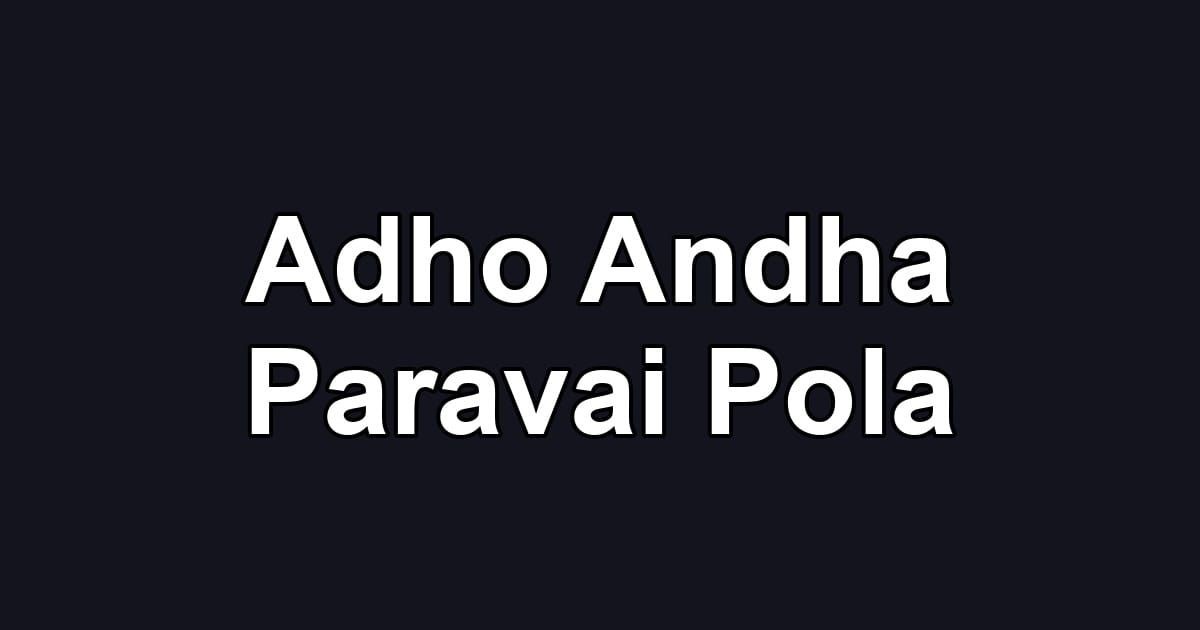 Adho Andha Paravai Pola