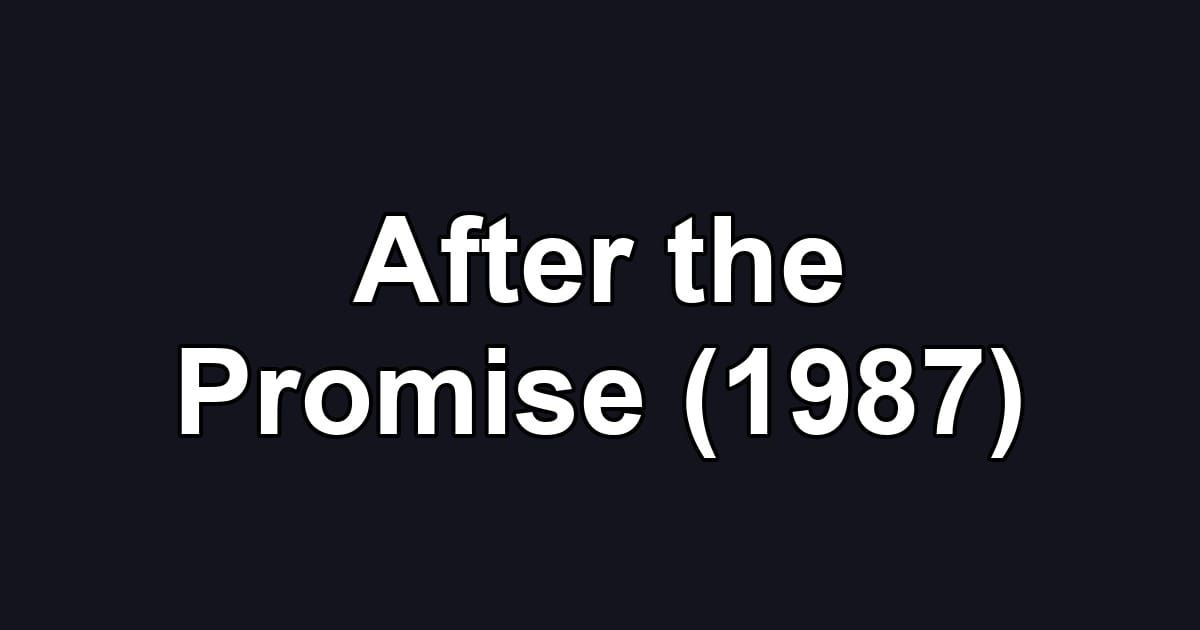 After the Promise (1987)