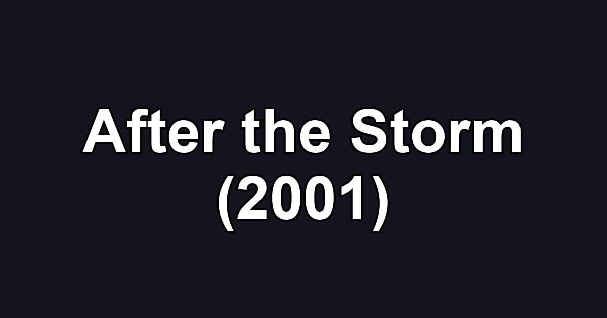 After the Storm (2001)