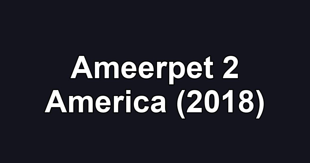 Ameerpet 2 America (2018)