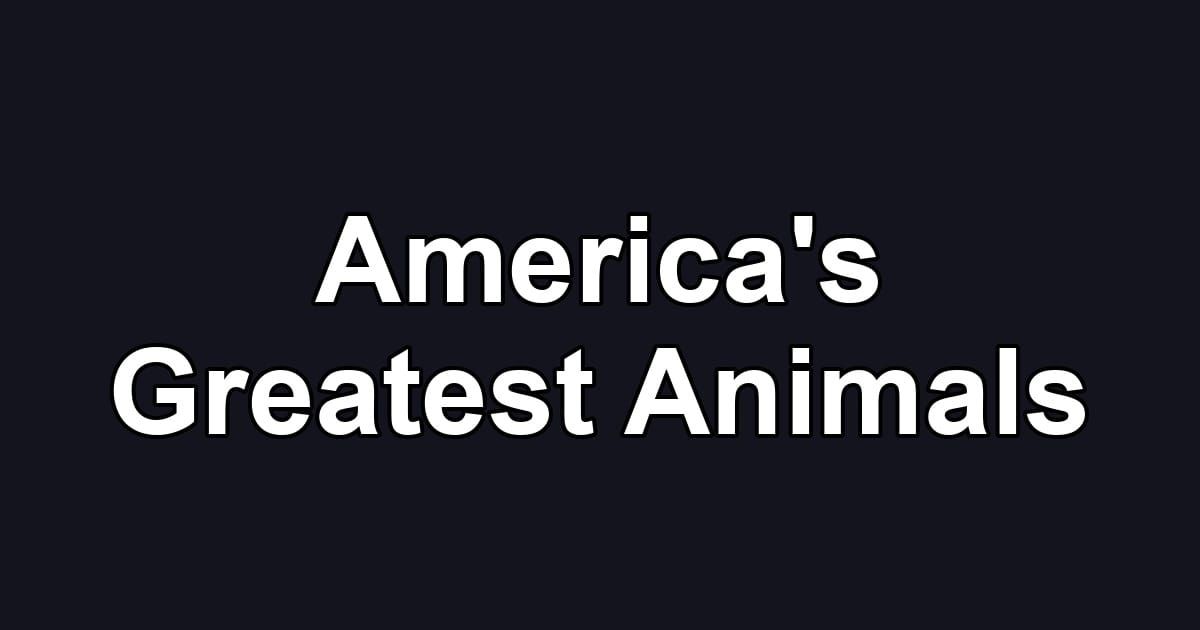 America's Greatest Animals