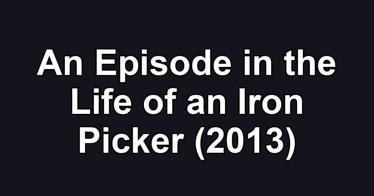 An Episode in the Life of an Iron Picker (2013)