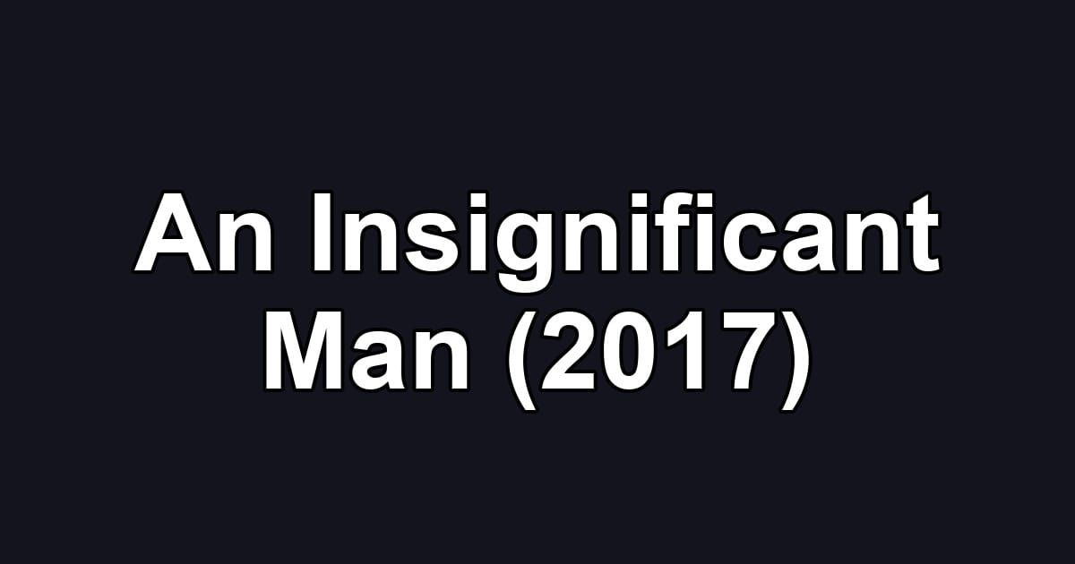 An Insignificant Man (2017)