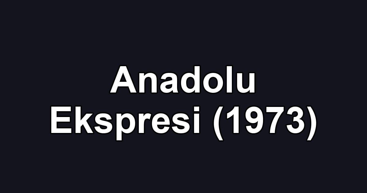 Anadolu Ekspresi (1973)