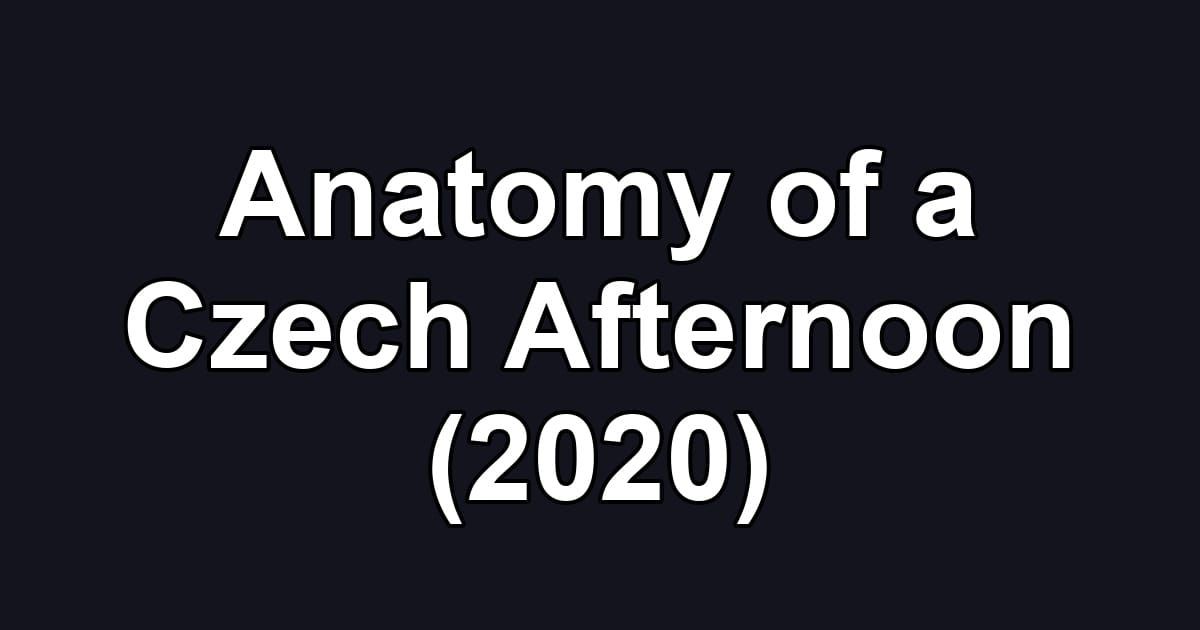 Anatomy of a Czech Afternoon (2020)