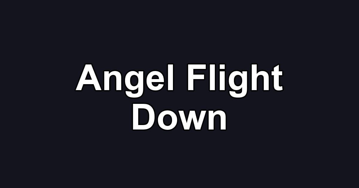 Angel Flight Down