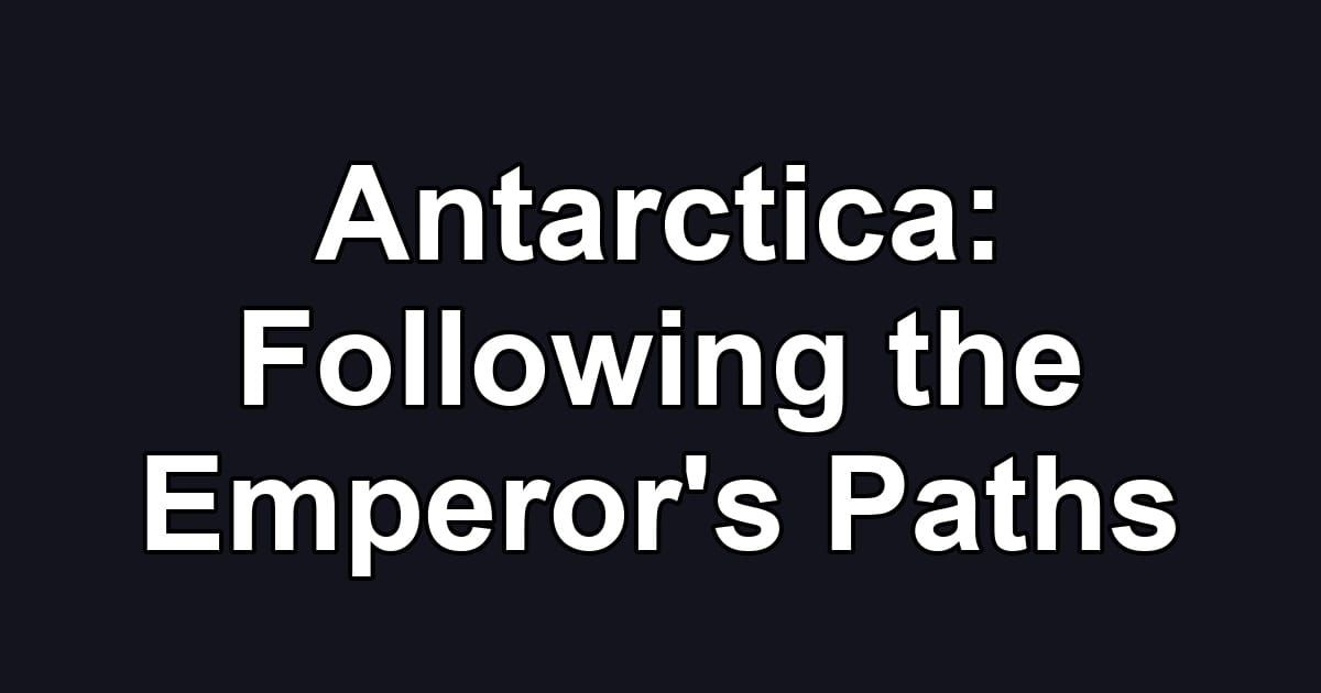 Antarctica: Following the Emperor's Paths