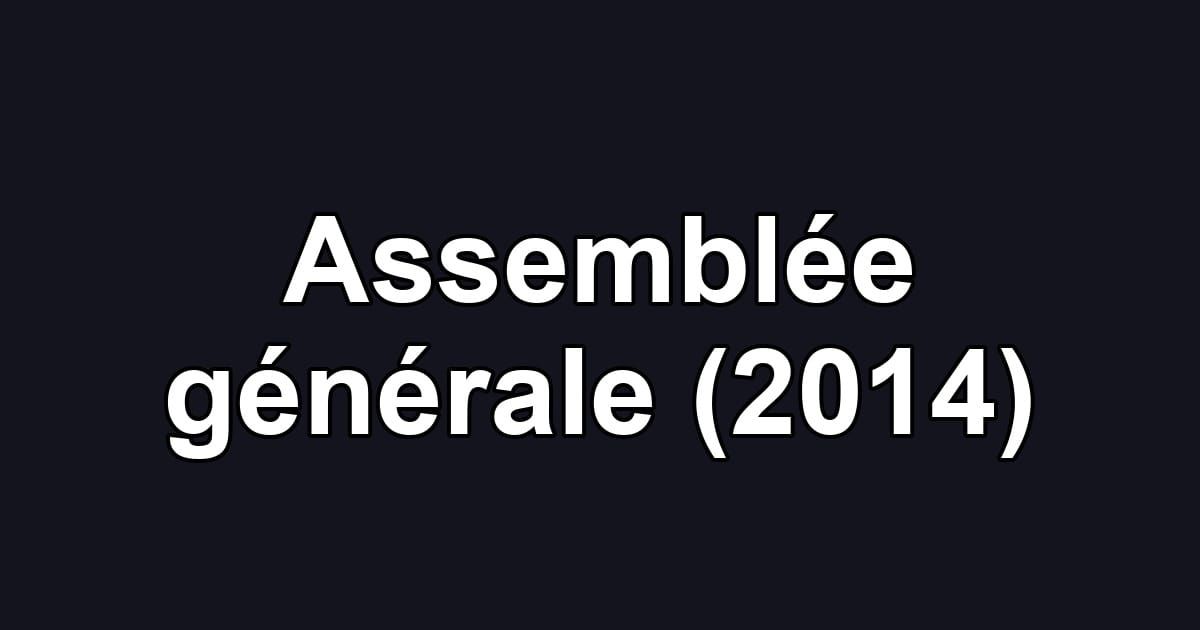 Assemblée générale (2014)