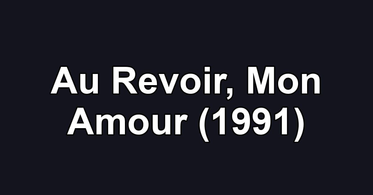 Au Revoir, Mon Amour (1991)