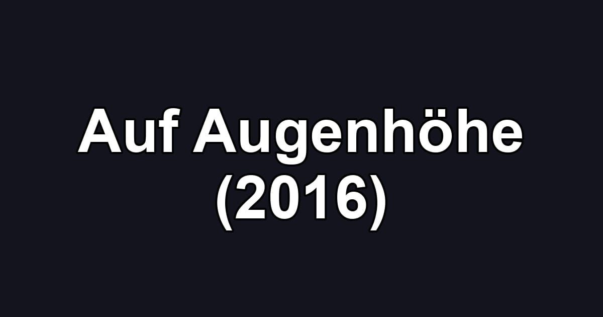 Auf Augenhöhe (2016)