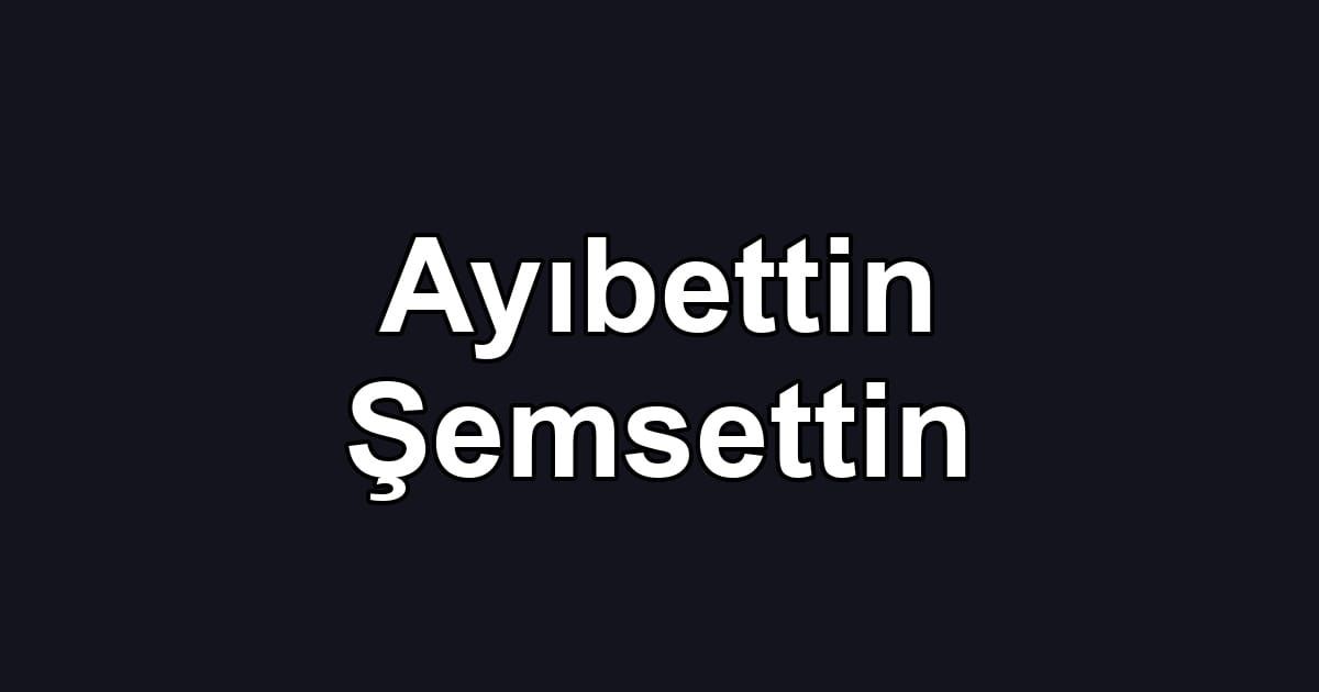 Ayıbettin Şemsettin