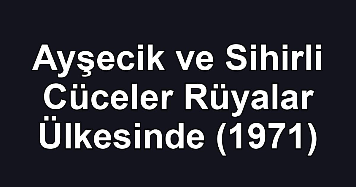 Ayşecik ve Sihirli Cüceler Rüyalar Ülkesinde (1971)