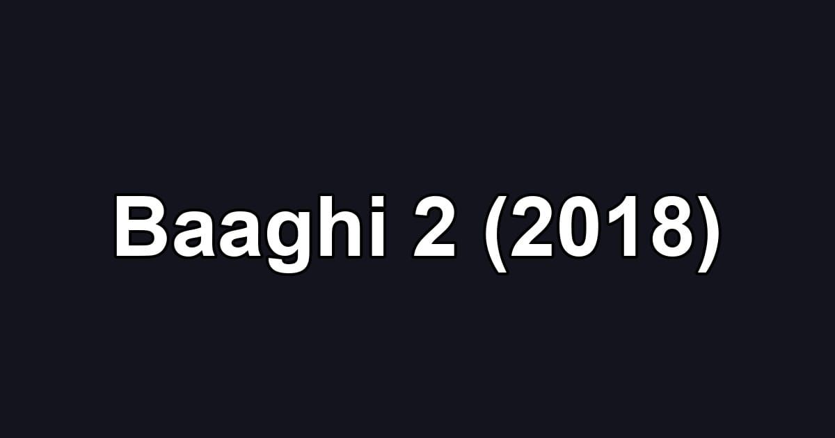 Baaghi 2 (2018)