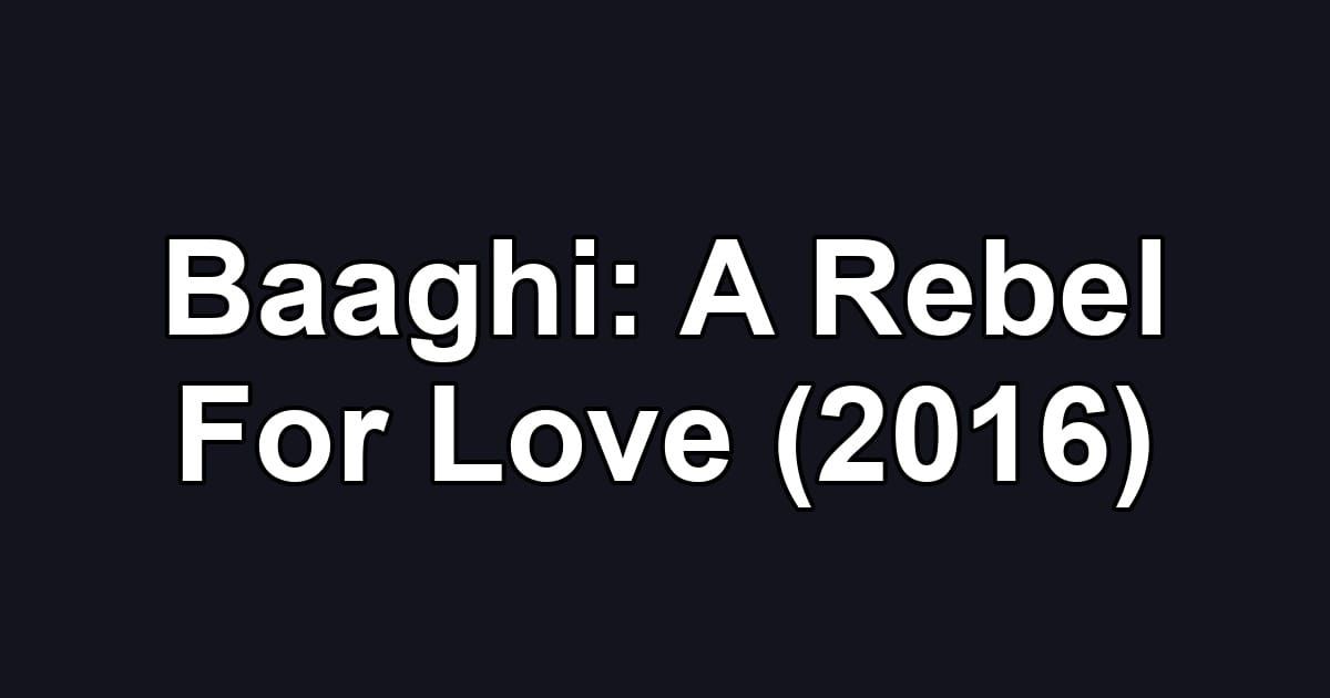 Baaghi: A Rebel For Love (2016)