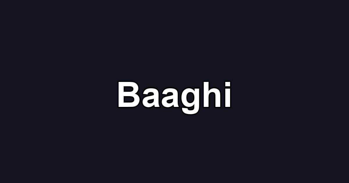 Baaghi