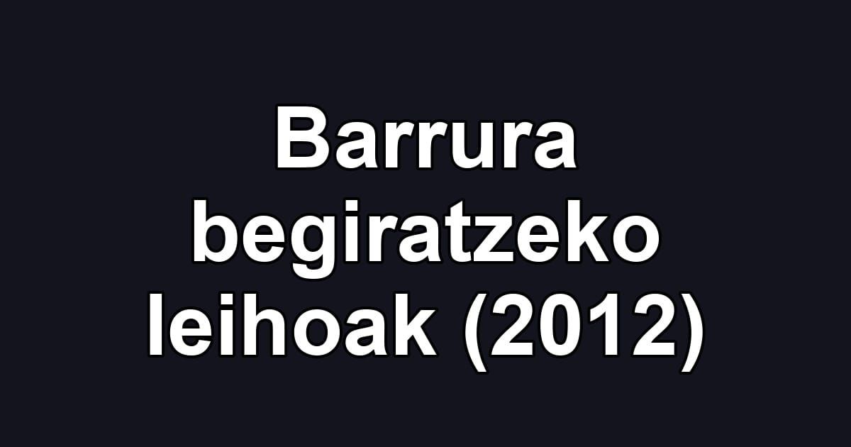 Barrura begiratzeko leihoak (2012)