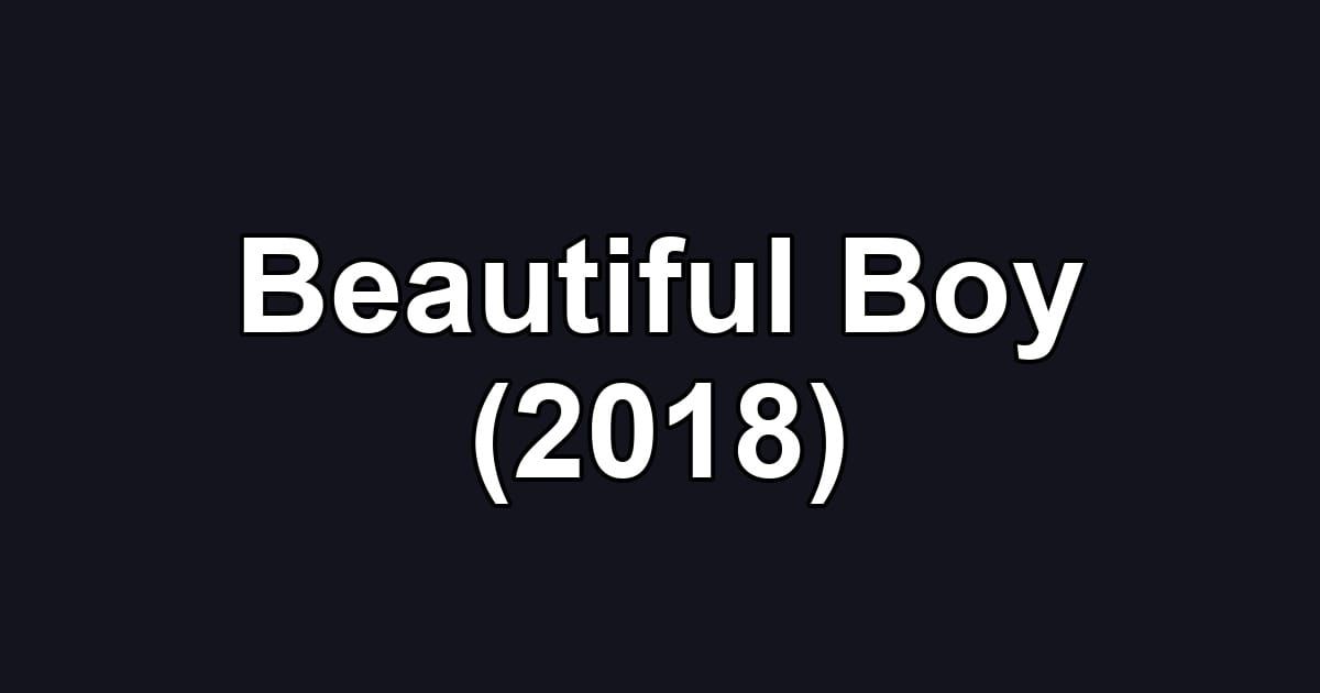 Beautiful Boy (2018)