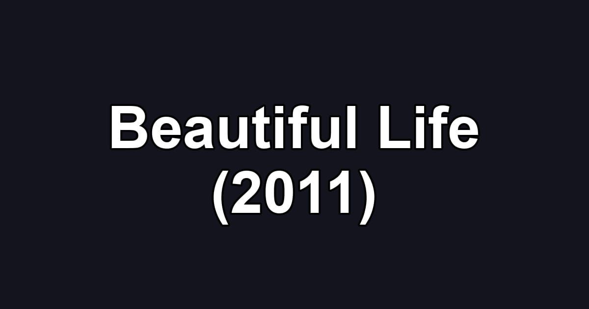 Beautiful Life (2011)