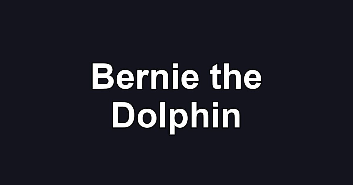 Bernie the Dolphin