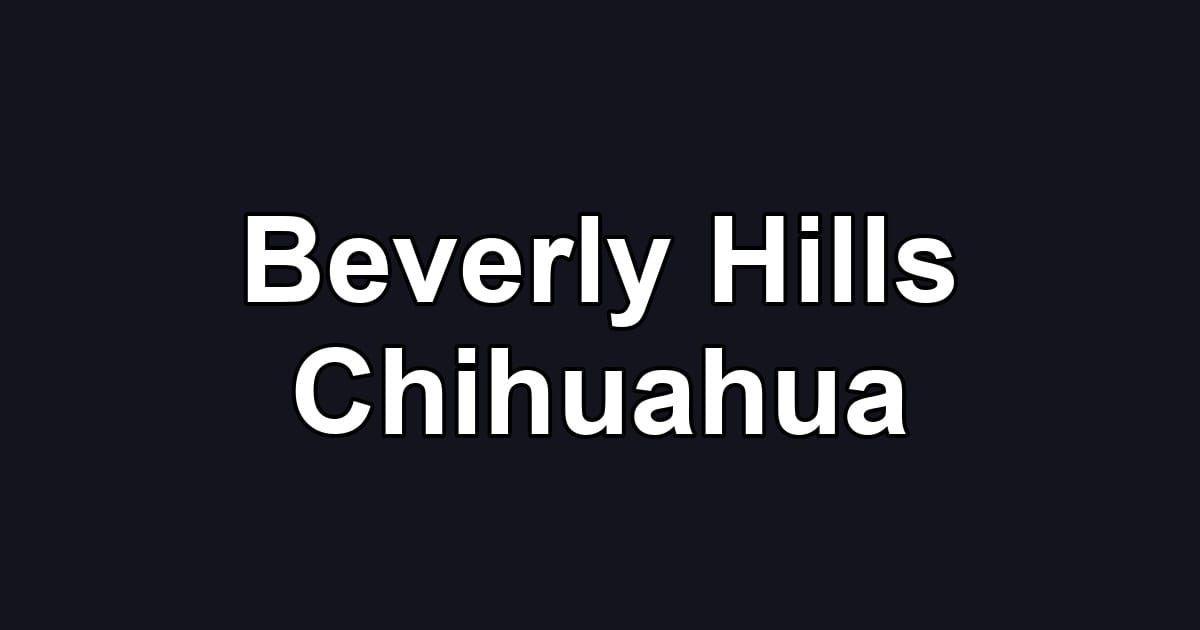 Beverly Hills Chihuahua