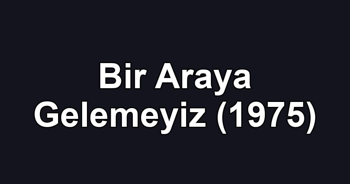 Bir Araya Gelemeyiz (1975)