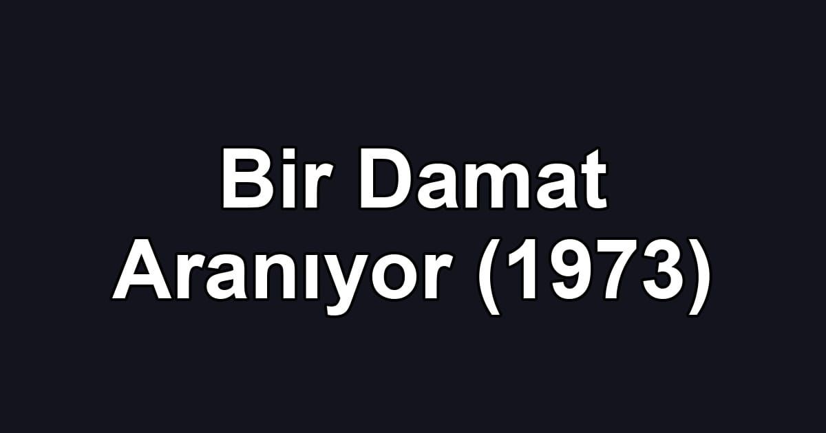 Bir Damat Aranıyor (1973)