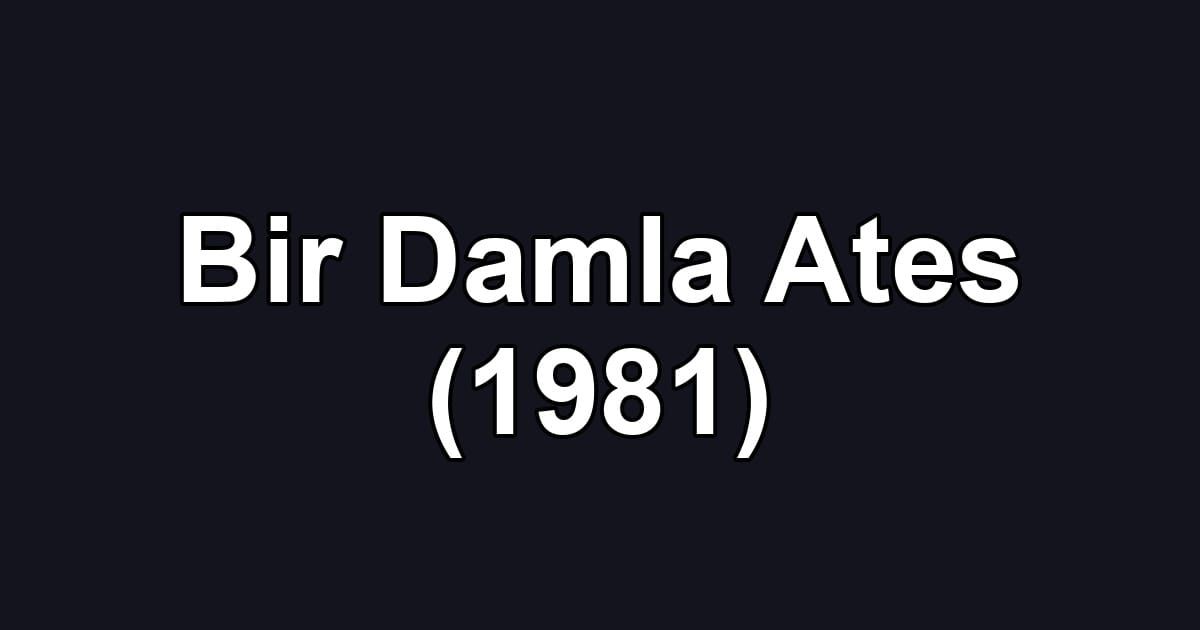 Bir Damla Ates (1981)