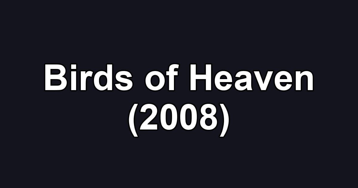 Birds of Heaven (2008)