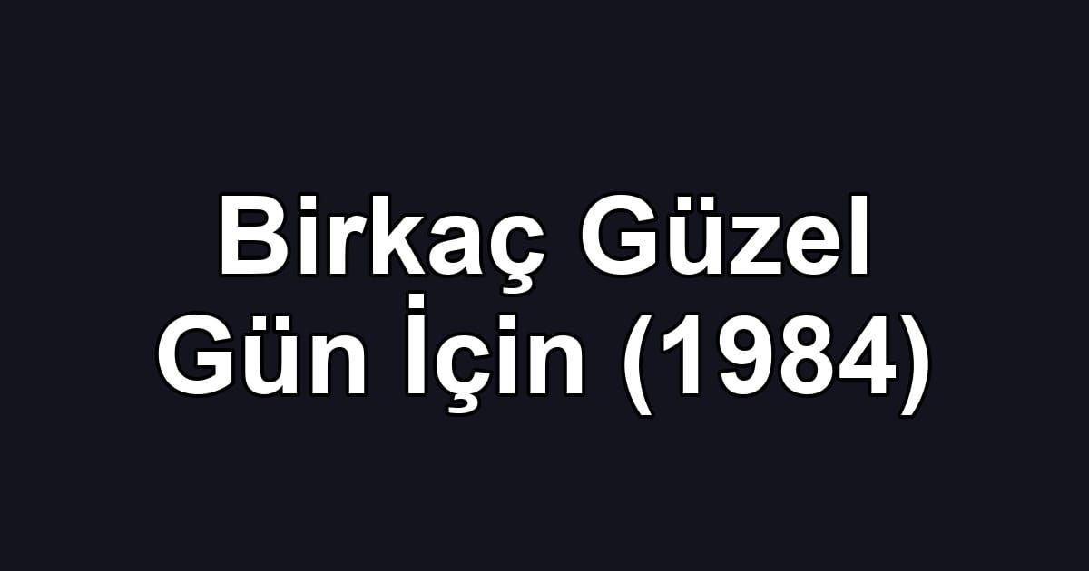 Birkaç Güzel Gün İçin (1984)